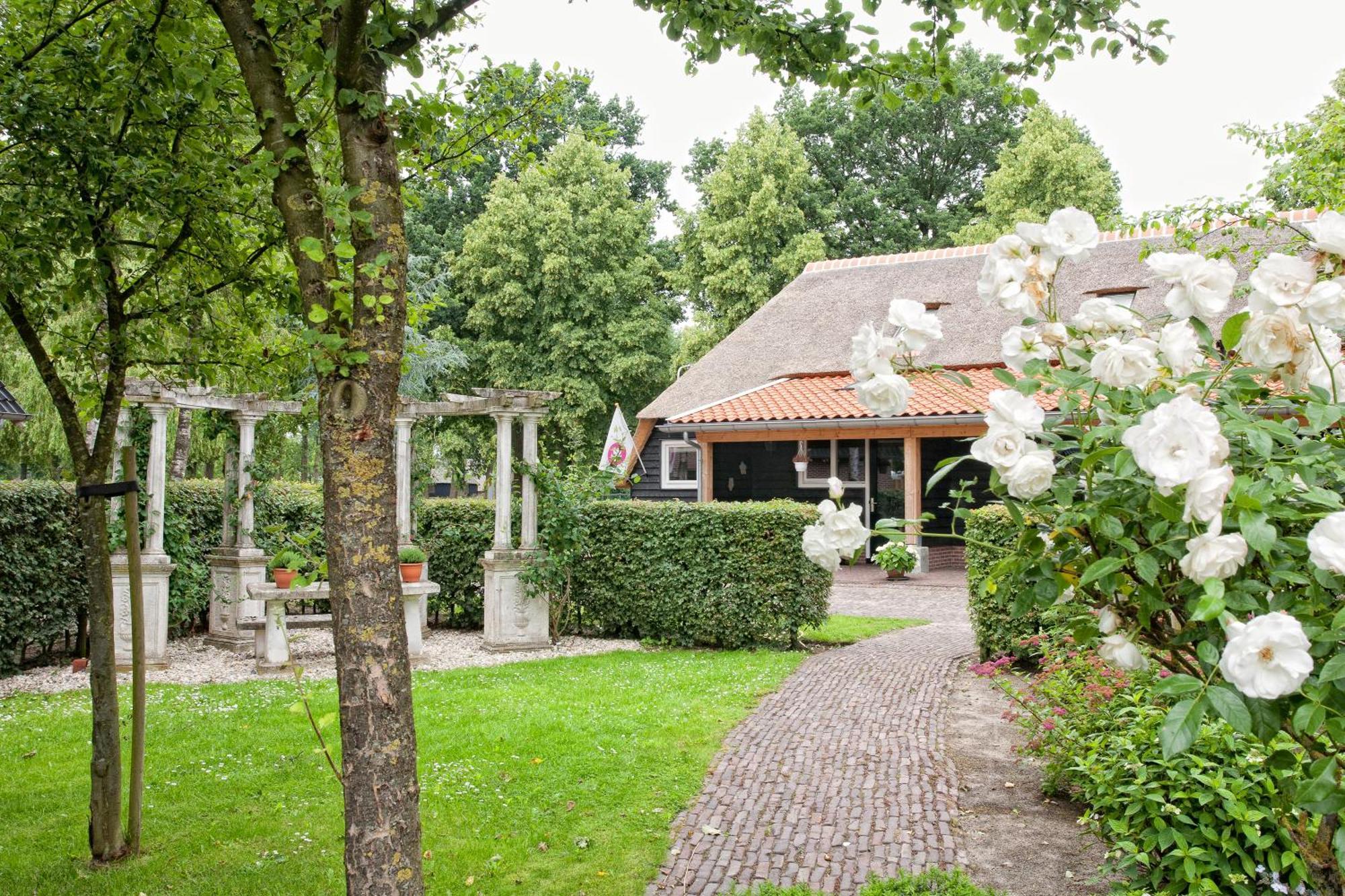 Bed and Breakfast Rheezerstee Zewnętrze zdjęcie