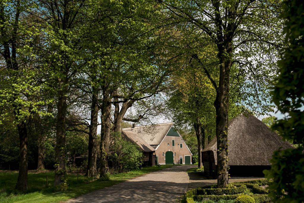Bed and Breakfast Rheezerstee Zewnętrze zdjęcie