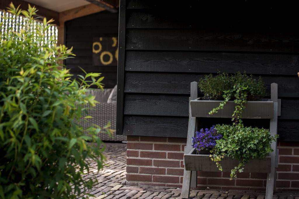 Bed and Breakfast Rheezerstee Zewnętrze zdjęcie